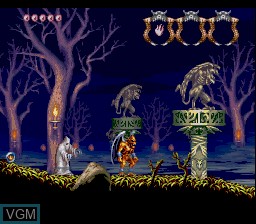 In-game screen of the game Demon's Crest on Nintendo Super NES