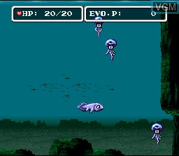 In-game screen of the game E.V.O. - Search for Eden on Nintendo Super NES