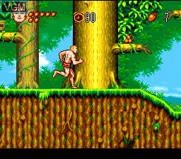 In-game screen of the game Jungle no Ouja Tar-chan - Sekai Manyuu Dai Kakutou no Maki on Nintendo Super NES