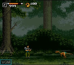 In-game screen of the game Jurassic Park Part 2 - The Chaos Continues on Nintendo Super NES