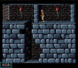In-game screen of the game Prince of Persia on Nintendo Super NES