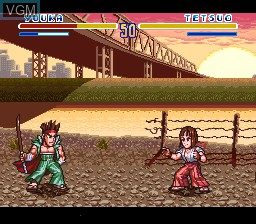 In-game screen of the game SD Hiryu no Ken on Nintendo Super NES