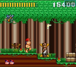 In-game screen of the game Super Adventure Island on Nintendo Super NES