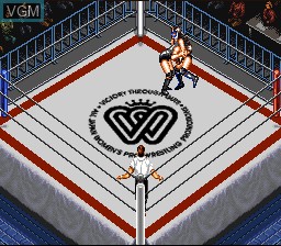 In-game screen of the game Super Fire ProWrestling - Queen's Special on Nintendo Super NES