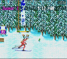In-game screen of the game Winter Olympic Games - Lillehammer '94 on Nintendo Super NES