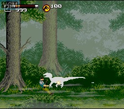 In-game screen of the game Jurassic Park Part 2 - The Chaos Continues on Nintendo Super NES
