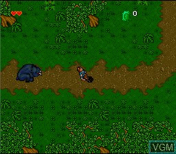 In-game screen of the game Ultima - Kyouryuu Teikoku - The Savage Empire on Nintendo Super NES
