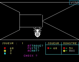 In-game screen of the game Labyrinthe et la Princesse, Le on Philips VG5000