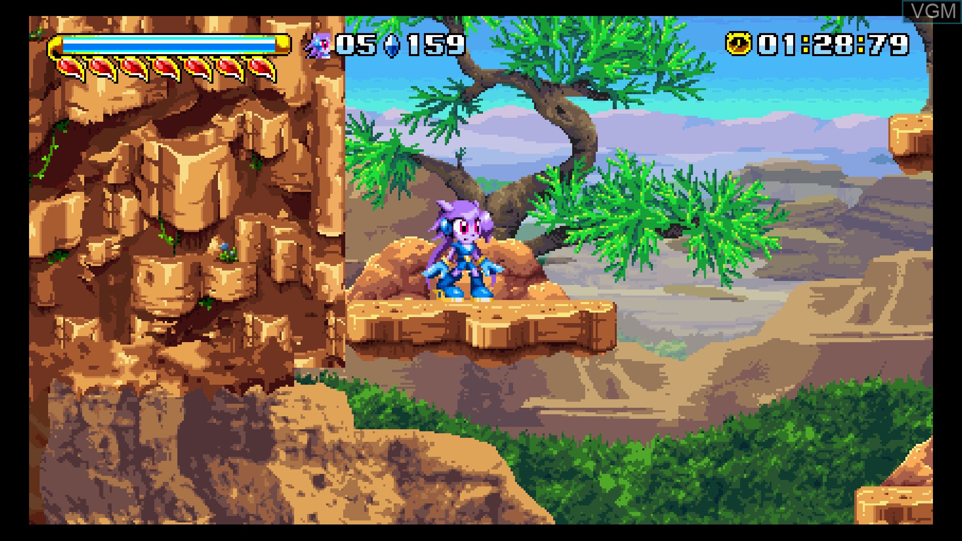 In-game screen of the game Freedom Planet on Nintendo Wii U