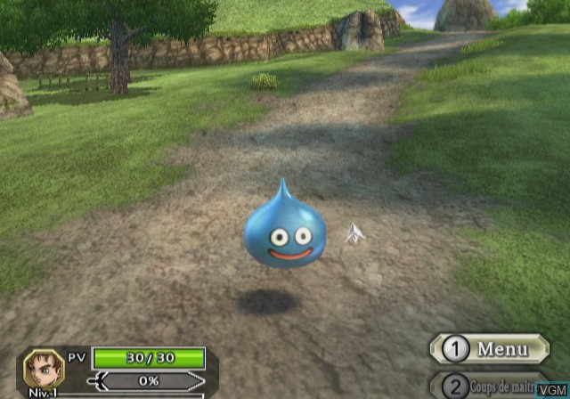 In-game screen of the game Dragon Quest Swords - The Masked Queen and the Tower of Mirrors on Nintendo Wii