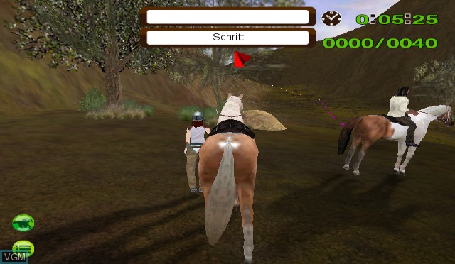 In-game screen of the game My Horse Club - On the Trail of the Mysterious Appaloosa on Nintendo Wii