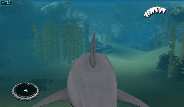 In-game screen of the game JAWS - Ultimate Predator on Nintendo Wii